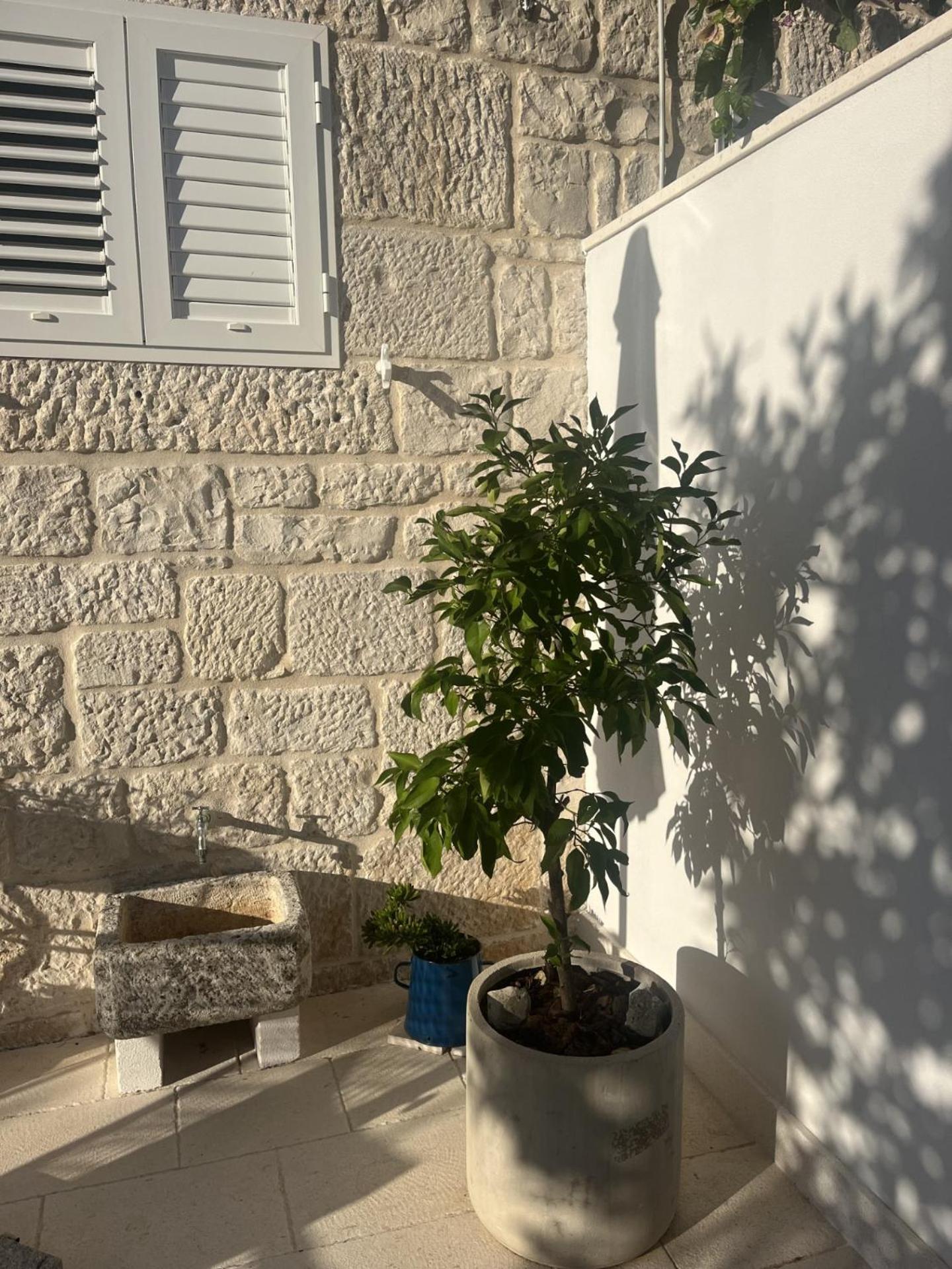 Apartment On The Sunny Side Korčula Esterno foto